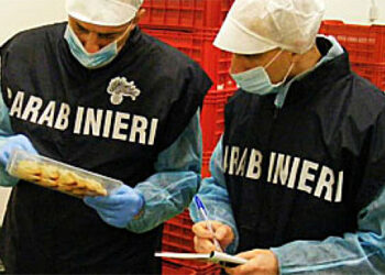 Controllo dei Carabinieri su irregolarità e lavoro nero in un azienda di Cirò marina