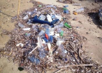 Marine Strategy: Arpacal realizza il censimento biennale dei rifiuti spiaggiati sulle coste calabresi