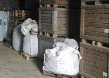 Maxi sequestro di mille quintali di patate per violazione norme igienico-sanitarie