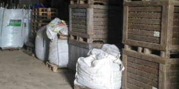 Maxi sequestro di mille quintali di patate per violazione norme igienico-sanitarie