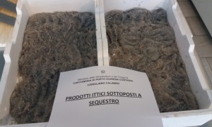 Operazione “Sardina Pilchardus” sull'intera filiera pesca della Calabria e Lucania3