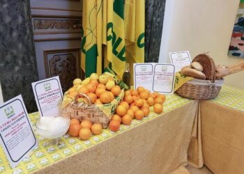 Rapporto agromafie 2017 Coldiretti, eurispes e osservatorio su criminalità agroalimentare