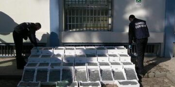 Sequestrata una tonnellata di Bianchetto, multato Pescatore per 4000 euro