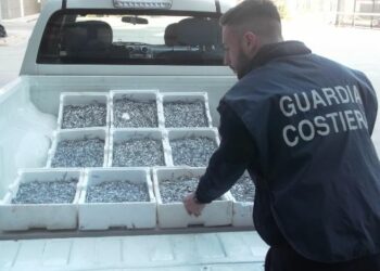Sequestrati 60kg di Bianchetto dalla Capitaneria di Porto di Crotone