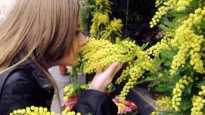 coldiretti festa della donna