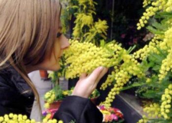 Coldiretti 8 marzo festa della donna