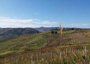 A Parma “Città creativa per la gastronomia UNESCO” per promuovere il Gaglioppo