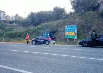 Carabinieri di petilia policastro: Intensificati i controlli sulla giurisdizione della stazione di caccuri