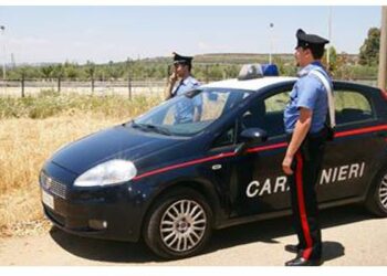 Coldiretti: Allarme furti nelle aziende agricole