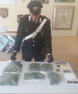 Cirò Marina, aveva in casa una serra con 30 piante di marijuana1