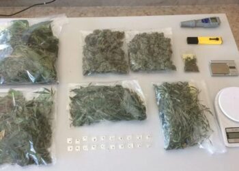 Cirò Marina, aveva in casa una serra con 30 piante di marijuana