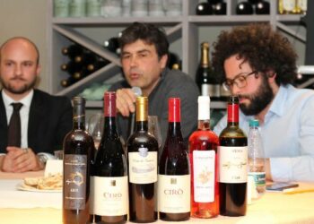 Cirò e il Gaglioppo: Tradizione e Rivoluzione