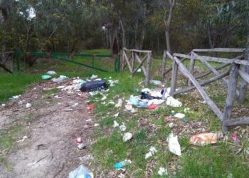 Città Pulita: un degrado inaccettabile nella Pineta comunale, che ancora deturpa il nostro territorio