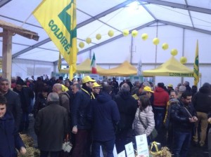 Coldiretti, da oggi mercoledì 19 aprile- obbligo di indicare nell'etichetta, l’origine del latte2