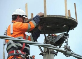 Enel e Lipu assicurano una nuova casa per la Cicogna bianca in Calabria