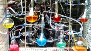 Finali regionali dei Giochi della Chimica all'Università della Calabria