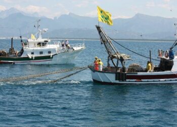 Fondo Europeo, Coldiretti Impresa Pesca: opportunità per i giovani e per le marinerie calabresi