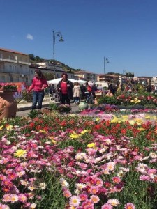 Grande successo a Cariati per Iurinfest 2017 1