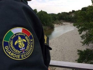 Guardie Ecozoofile- rinvenuti fusti metallici alla foce del Neto