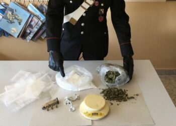 I Carabinieri individuano a Cirò un deposito della droga, sequestrato un ingente quantitativo