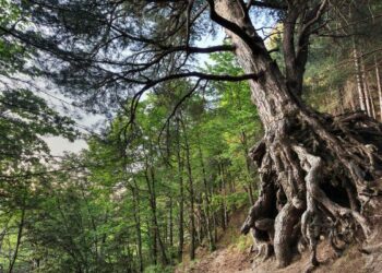 Il Fondo nazionale stanzia 20 milioni per combattere lo spopolamento delle nostre montagne