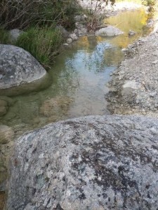 Il sentiero che porta alla fontana di San Nicodemo a Cirò3