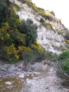 Il sentiero che porta alla fontana di San Nicodemo a Cirò4