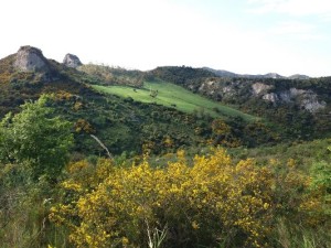 Il sentiero che porta alla fontana di San Nicodemo a Cirò6