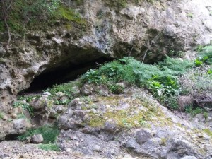 Il sentiero che porta alla fontana di San Nicodemo a Cirò7