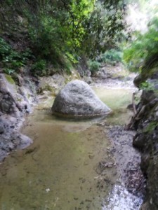 Il sentiero che porta alla fontana di San Nicodemo a Cirò8