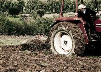La giornata mondiale della terra impone scelte coraggiose sul consumo del suolo