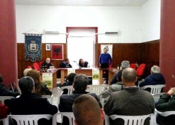 L’Olivicoltura calabrese tra valorizzazione ed innovazione