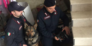 Mini arsenale rinvenuto a Scandale, un arresto dei Carabinieri