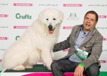 Cariati, Faustolo miglior maremmano del mondo al Crufts Dog 2017