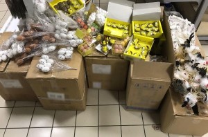 Sequestrati 4 milioni di Uova di Pasqua pericolosi per i consumatori3