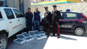 Sequestrati 45 chili di Bianchetto nel territorio del Cirotano, multa di 7 mila euro