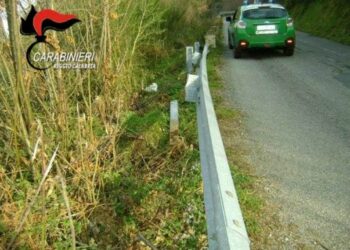Sorpresi a rubare guard rail stradali per rivenderne il metallo, due denunciati