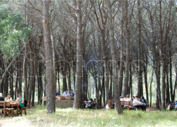 Coldiretti: Pasquetta in Calabria tra scampagnate e agriturismi ma sempre all’area aperta