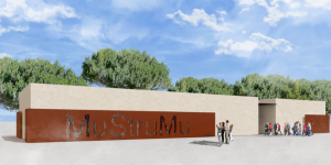 presentazione del progetto del nuovo Museo dello Strumento Musicale di Pineta Zerbi. 4