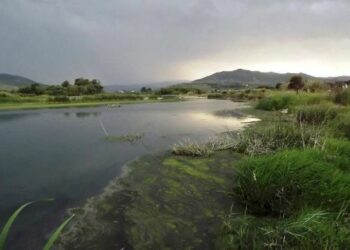 #Cariatipulita: ruolo della politica e gestione condivisa del territorio