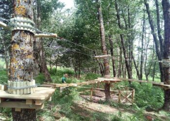 Reggio Calabria: a Forge è pronto il nuovo Parco Avventura