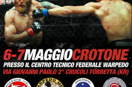 Arti Marziali Miste, stage a Torretta