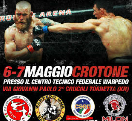 Arti Marziali Miste, stage a Torretta