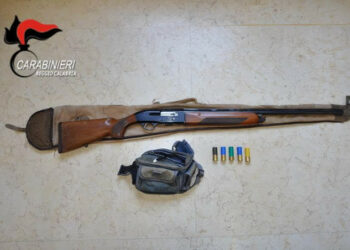 Falchi pecchiaioli in transito per la migrazione, Cacciatore sorpreso a sparare: denunciato dai Carabinieri