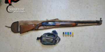 Falchi pecchiaioli in transito per la migrazione, Cacciatore sorpreso a sparare: denunciato dai Carabinieri