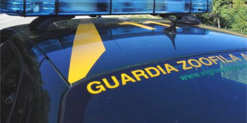 Guardie Ecozoofile: rinvenuto deposito di rifiuti pericolosi a Cirò Marina