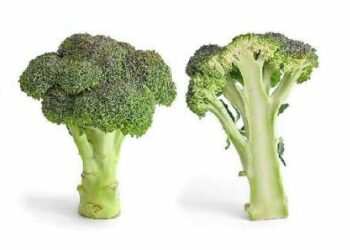 Guerra dei broccoli tra Germania e Italia