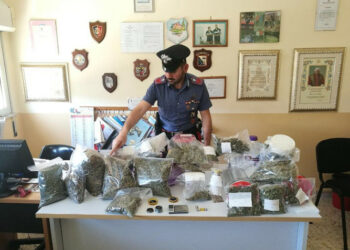 I Carabinieri scoprono piantagione Marijuana occultata in abitazione del centro di Cirò Marina