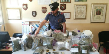 I Carabinieri scoprono piantagione Marijuana occultata in abitazione del centro di Cirò Marina