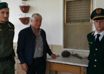 Le guardie zoofile “Accademia Kronos” Crotone recuperano famiglia di ricci